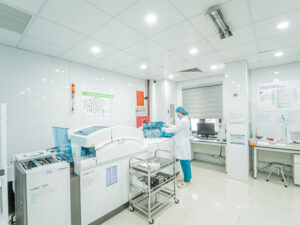 Trung-duc-04